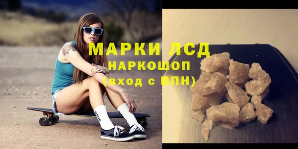 мдпв Рославль