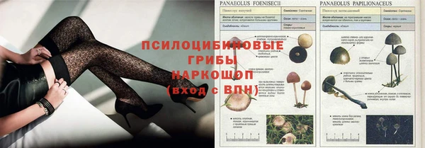 трава Абдулино