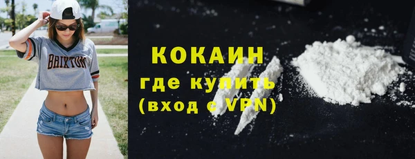 мдпв Рославль