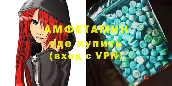 мдпв Рославль