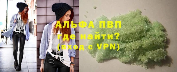 крисы Ростов