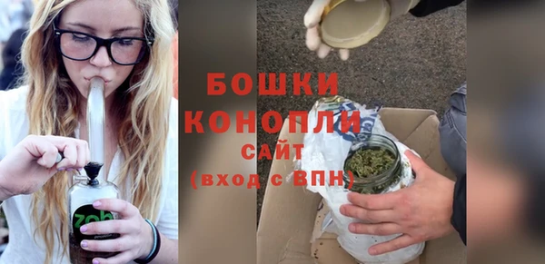 мдпв Рославль