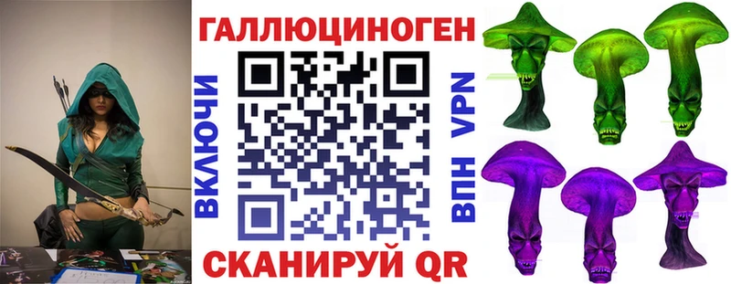 Псилоцибиновые грибы Cubensis  Алагир 
